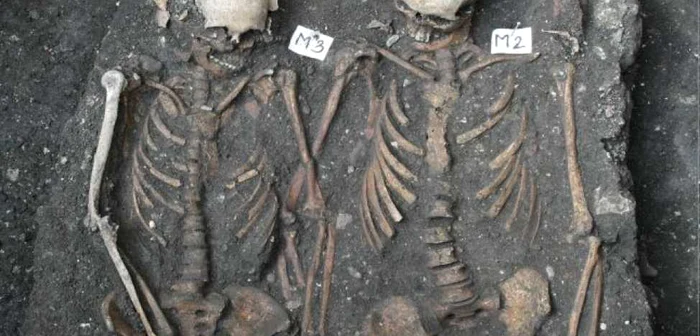 Scheletele descoperite în aprilie 2013 la Cluj FOTO: Institutul de Arheologie