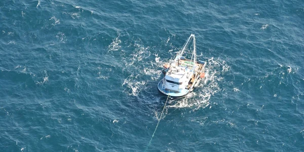Pescadorul Cormoran 2