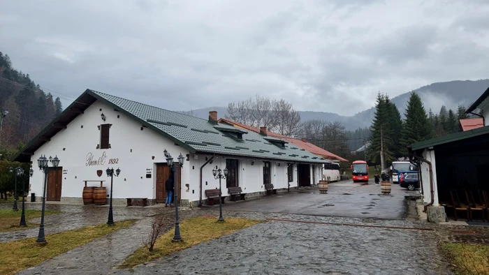 Cramele Rhein de la Azuga au o istorie de peste 130 de ani FOTO: Ovidiu Oprea