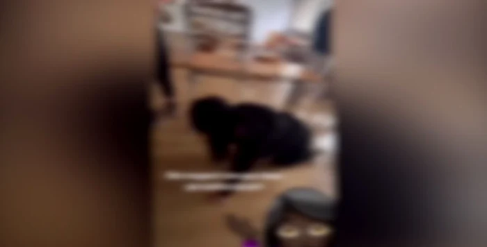 Totul a fost transmis live pe TikTok. FOTO captură video / Opinia Timișoarei