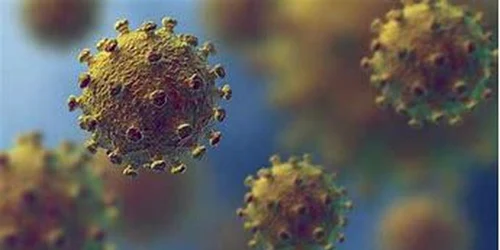 Noul coronavirus şi sarcina