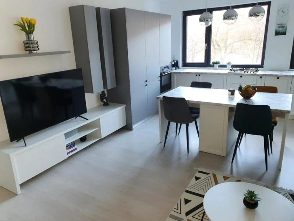 Apartamentul închiriat la 475 de euro  pe lună are living cu bucătărie şi un singur dormitor