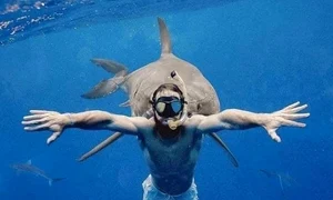 290549186 5344790898900064 2130864606509850689 n jpg