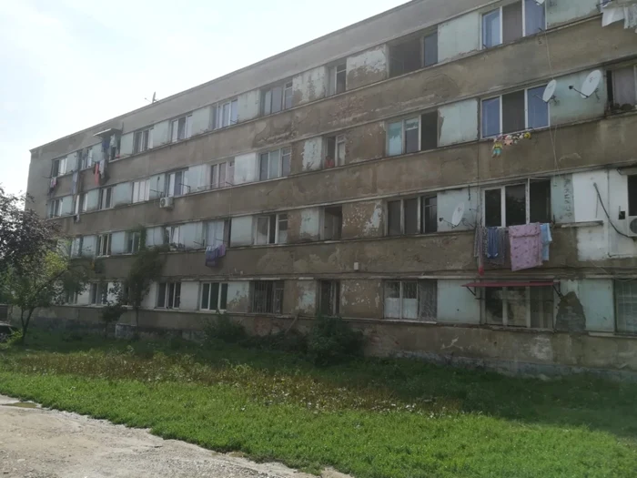 Locuinţele sociale din Motru sunt invadate de ploşniţe