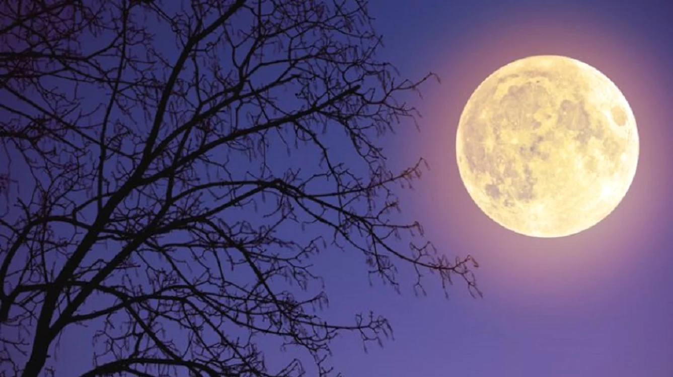 
    Supe Luna de Zăpadă va fi vizibilă în noaptea de 18 spre 19 februarie, cu discul luminat în proporție de 96%, iar pe 19 februarie, la ora 17.54 va fi luminată 100%.FOTO: adevarul.ro  