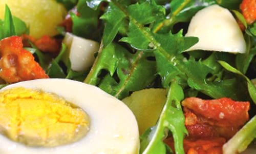 1366820205 1508salata 20de 20papadie 20cu 20oua jpeg