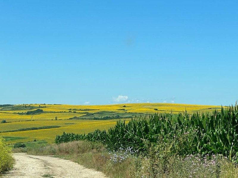Se modernizează un nou drum turistic din Transilvania. Traversează zona colinară a Podișului Secașelor FOTO