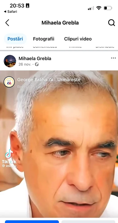 postari mihaela grebla (6) jpg
