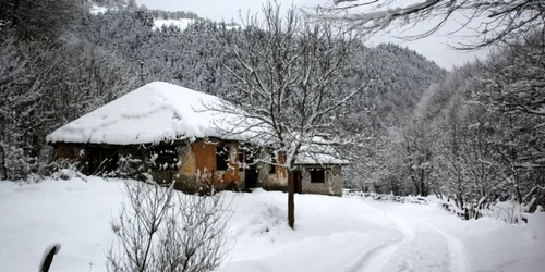 cioclovina foto daniel Guta adevarul