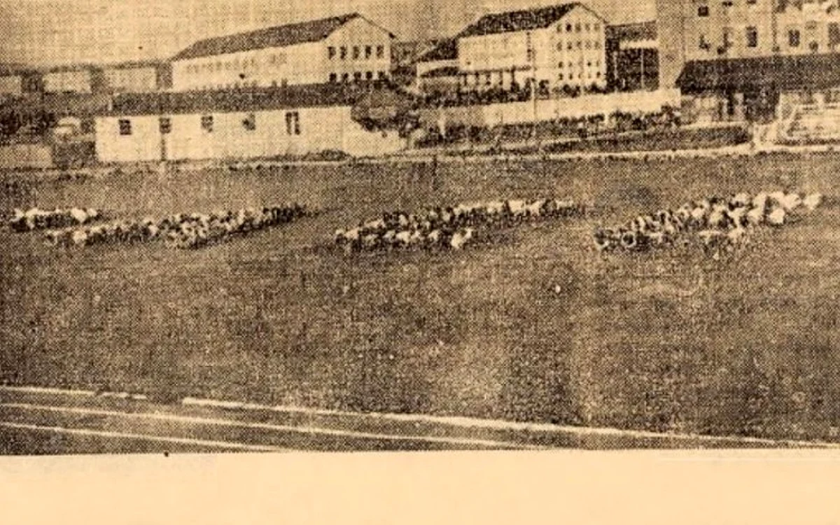 stadionul corvinul in anii 50 drumu socialismului