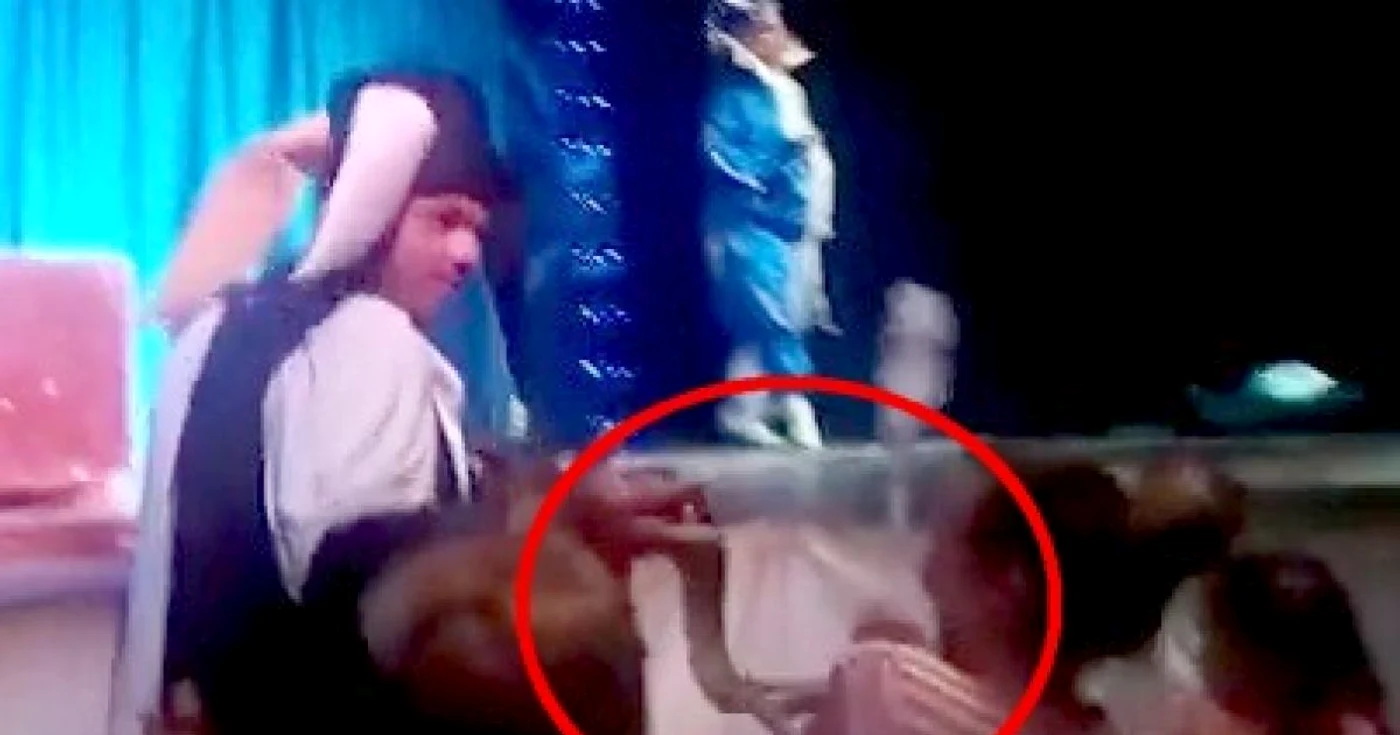 Bunicii fetiţei au sesizat poliţia, însă reprezentanţii circului se apară spunând că ar fi fost vina ei deoarece s-ar fi apropiat prea mult de piton FOTO portalsm.ro