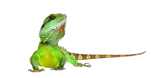 1 46714 original jpg jpeg