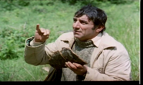 1 47286 original jpg jpeg