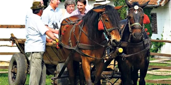 Prinţul Charles
