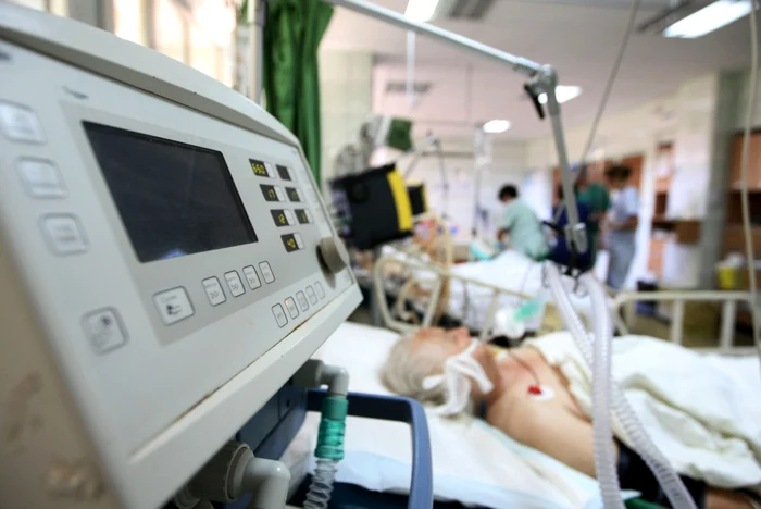 Din 2010, legislaţia română a aprobat
folosirea în scopuri terapeutice a diverselor substanţe din planta de
canabis FOTO: Adevărul