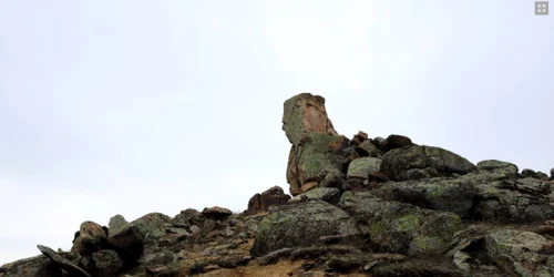 Natura primăvara în Parcul Naţional Măcin Sursa turism-macin.ro
