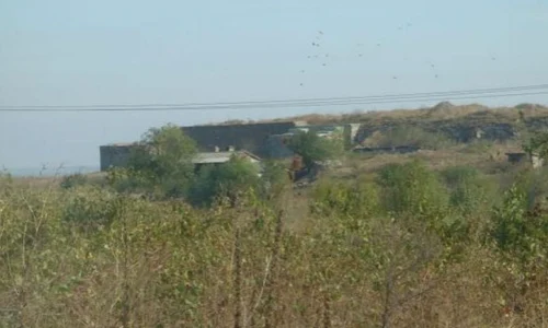 Marea cetate romano bizantină de la Dinogeţia, îngropată în buruieni jpeg