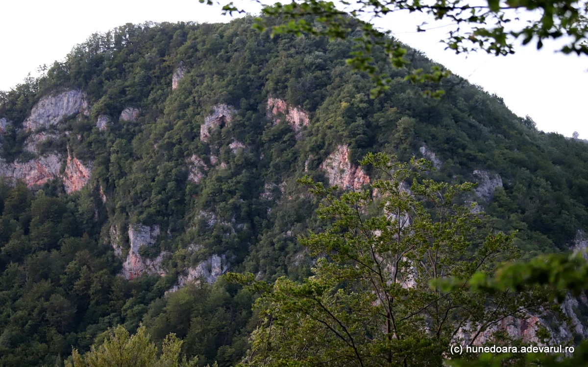 Muntele Piatra Roșia. Foto: Daniel Guță. ADEVĂRUL