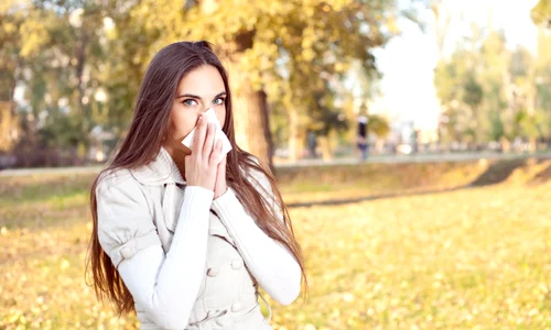 shutterstock 90052468 jpg