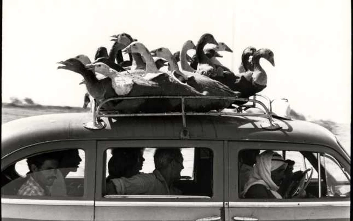 FOTO Monique Jacot/Huffington Post