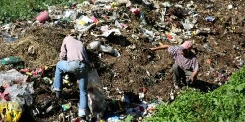 Voluntarii mureşeni au adunat peste 11.700 de saci cu gunoaie foto arhivă