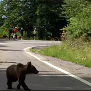 Captură de ecran 2026 07 06 175554 png