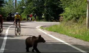 Captură de ecran 2026 07 06 175554 png