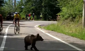 Captură de ecran 2026 07 06 175554 png