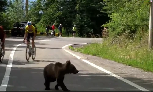 Captură de ecran 2026 07 06 175554 png