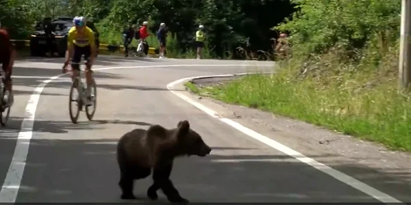 Captură de ecran 2026 07 06 175554 png