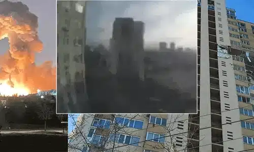 cub razboi ucraina bloc lovit gif