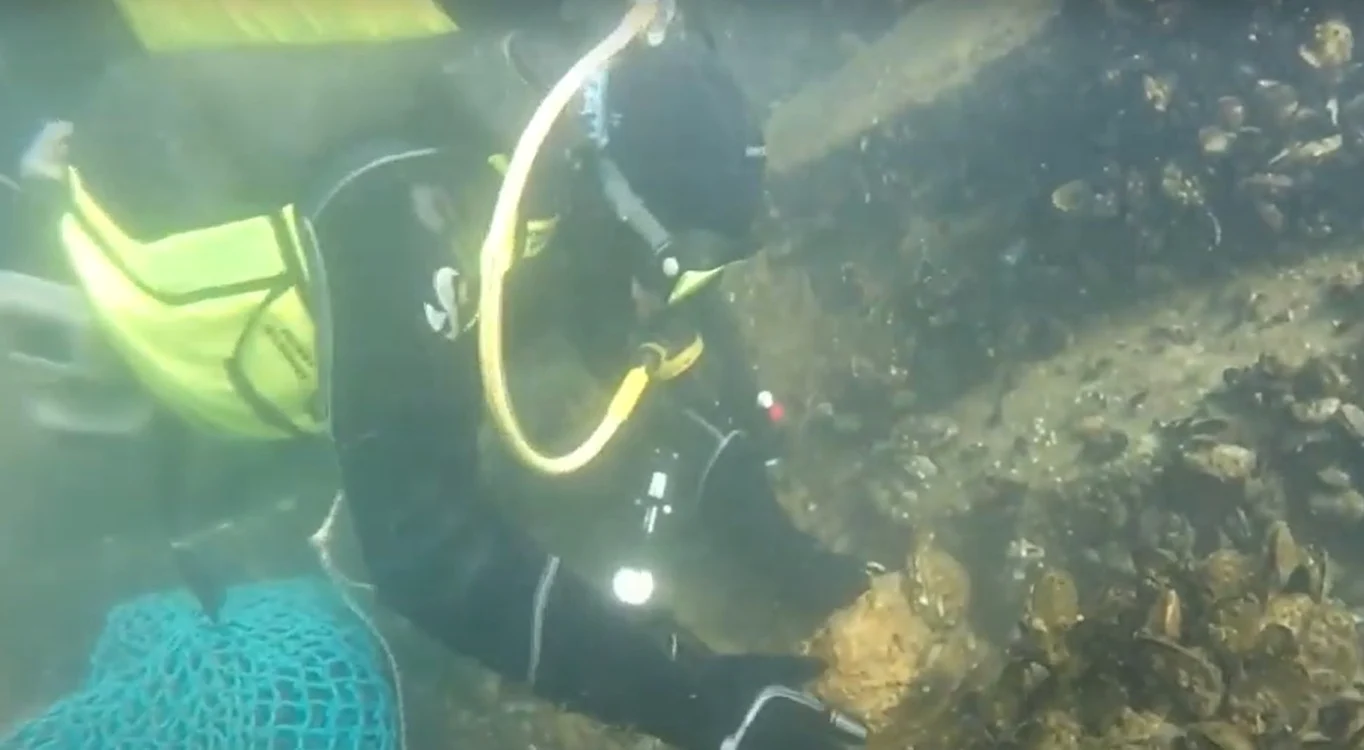 Stridie de Pacific descoperită în Marea Neagră