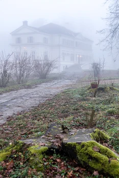 Savarsin Trist, colectia de fotografii a Principesei Sofia (1) jpeg