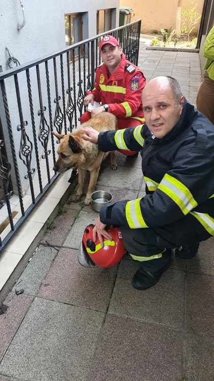 incendiu la o casa din bucuresti 