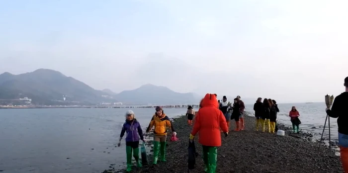 Jindo, locul unde marea se desparte în două / foto: captură video