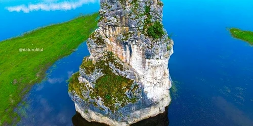 stancadracului corinadumitrescu jpg