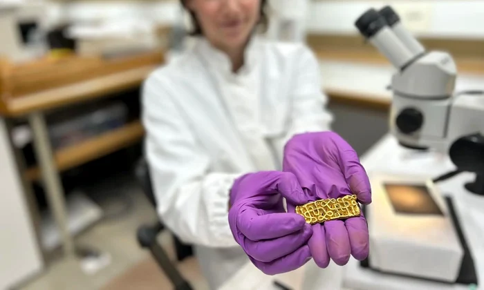 Ornamentul făcea parte din teaca unei săbii (© Terje Tveit, Arkeologisk museum, Universitetet i Stavanger)