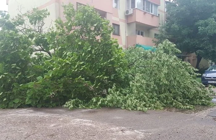 Sunt aşteptate intensificări ale vântului şi căderi de grindină