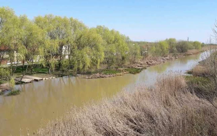 Fantasticul canal Bega în amonte