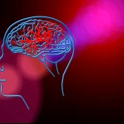 accident vascular cerebral   foto pixabay webp