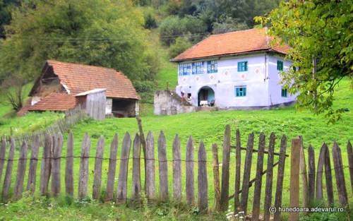 tinutul padurenilor foto daniel guta adevarul