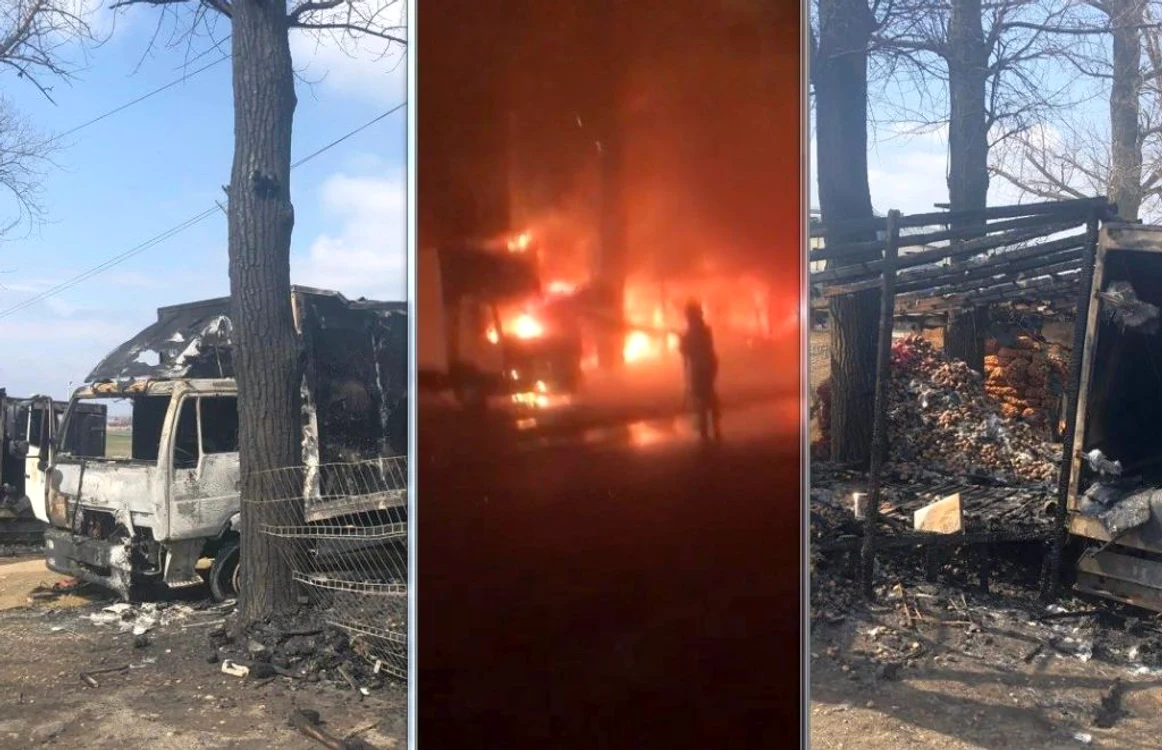 Incendiul pus de interlopi a fost devastator FOTO Sandu Oprea