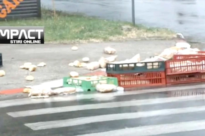 Microbuzul cu  navetiste (Fotografii: Totalimpact.ro)