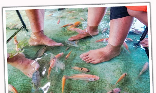 Localnicii susţin  că tratamentul  are proprietăţi  terapeutice jpeg