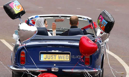 kate william nunta jpeg