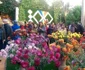 Flori de toamnă în Grădina Botanică Iaşi