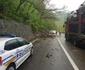 Trafic blocat pe Valea Oltului din cauza copacilor căzuţi pe DN 7 - E 81 la Câineni - Vâlcea Foto Adevărul