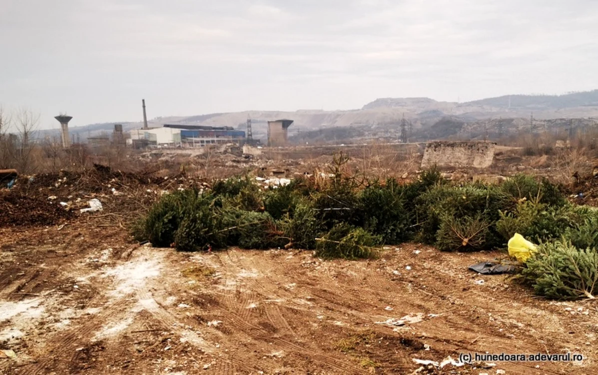 Vechea platformă industrială din Hunedoara. Foto: Daniel Guţă. ADEVĂRUL