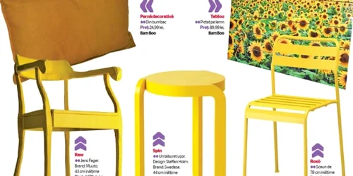 Decoraţiuni colorate