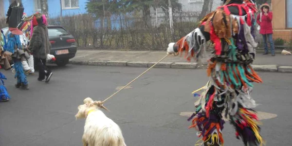 Urătorii s-au reunit la Roman